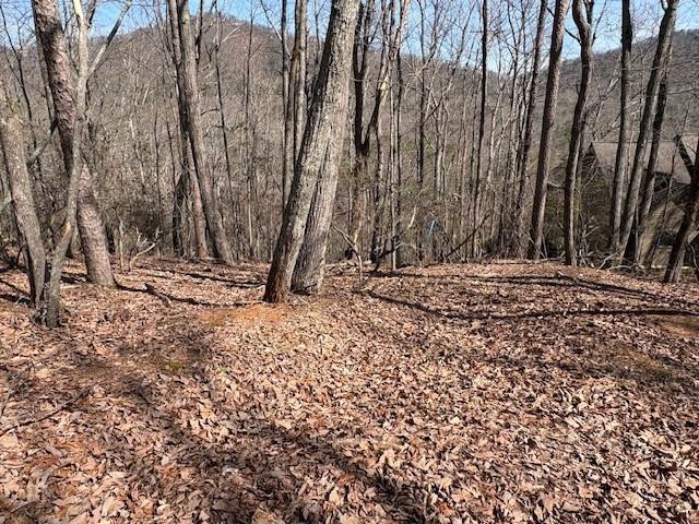 1150 Swallow Point Property Photo 6