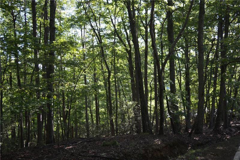1150 Swallow Point Property Photo 11