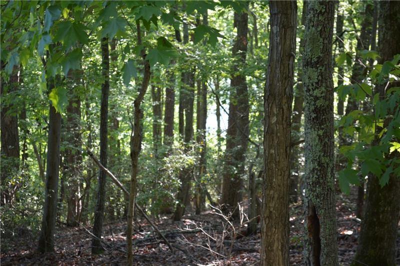 1150 Swallow Point Property Photo 12