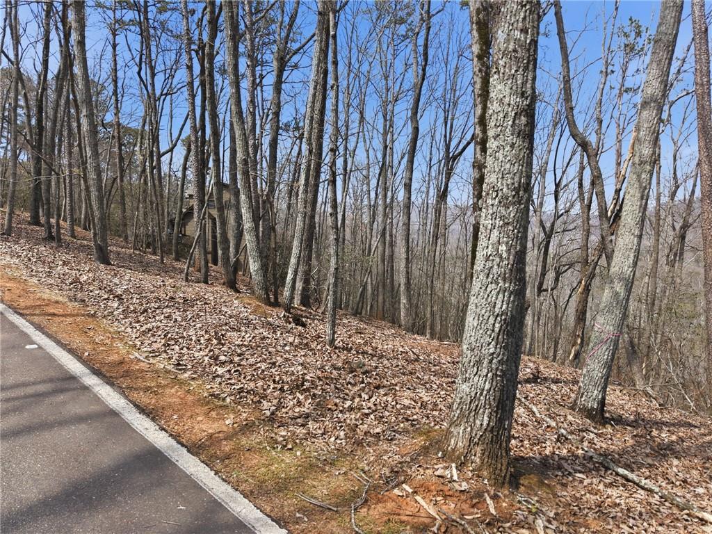1150 Swallow Point Property Photo 14