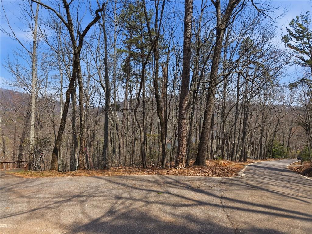 1150 Swallow Point Property Photo 15