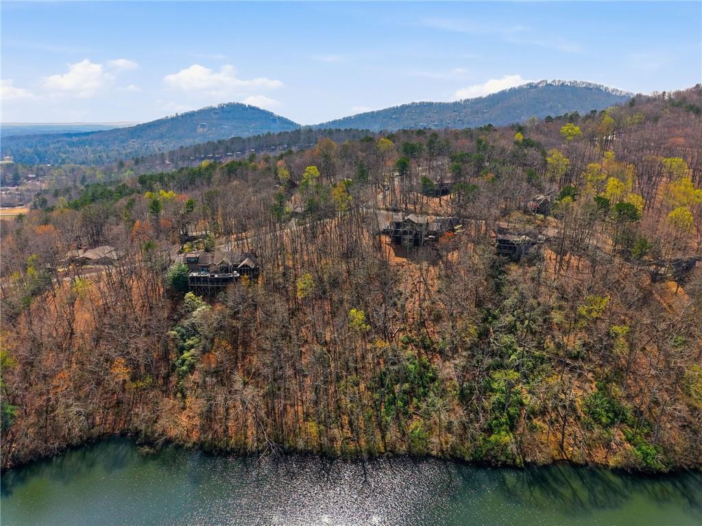 1150 Swallow Point Property Photo 21