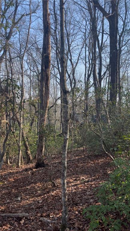 0 Highland Trail Property Photo 2