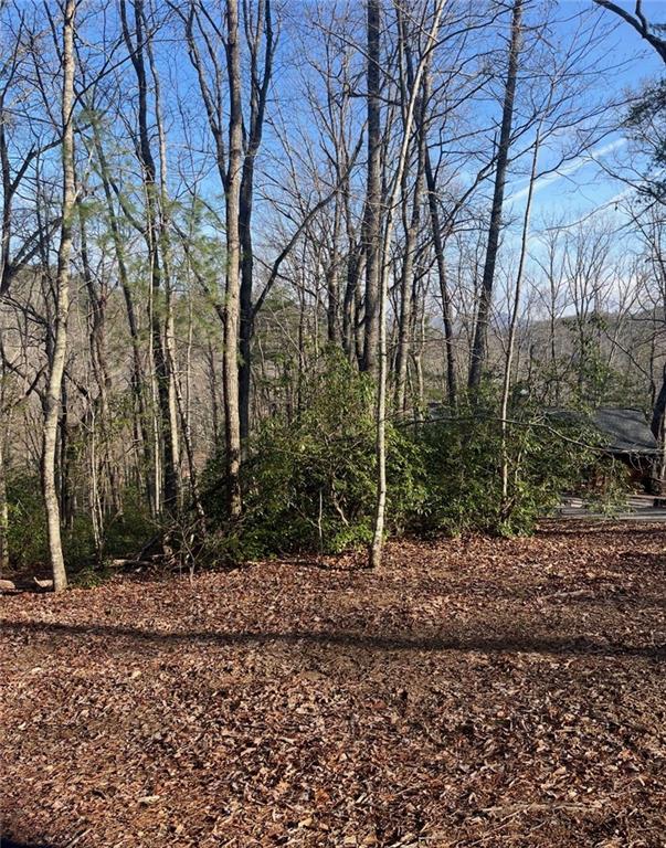 0 Highland Trail Property Photo 3