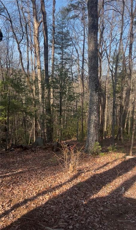 0 Highland Trail Property Photo 4