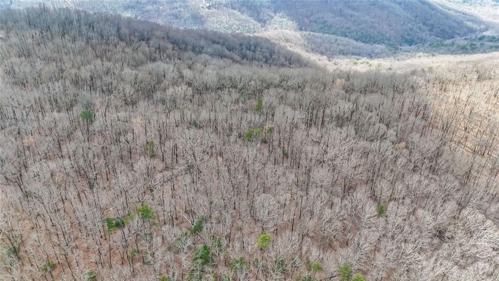 22 Andes Ridge Property Photo 10