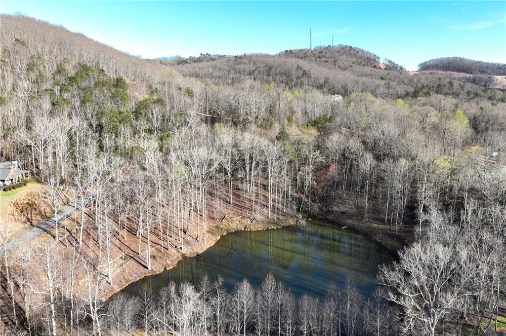 Lot 21 Long Mountain Trail Property Photo 10