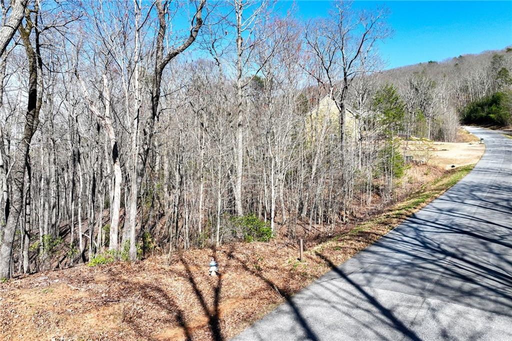 Lot 21 Long Mountain Trail Property Photo 11