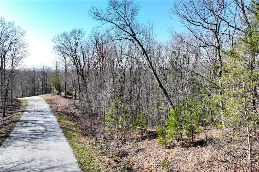 Lot 21 Long Mountain Trail Property Photo 12