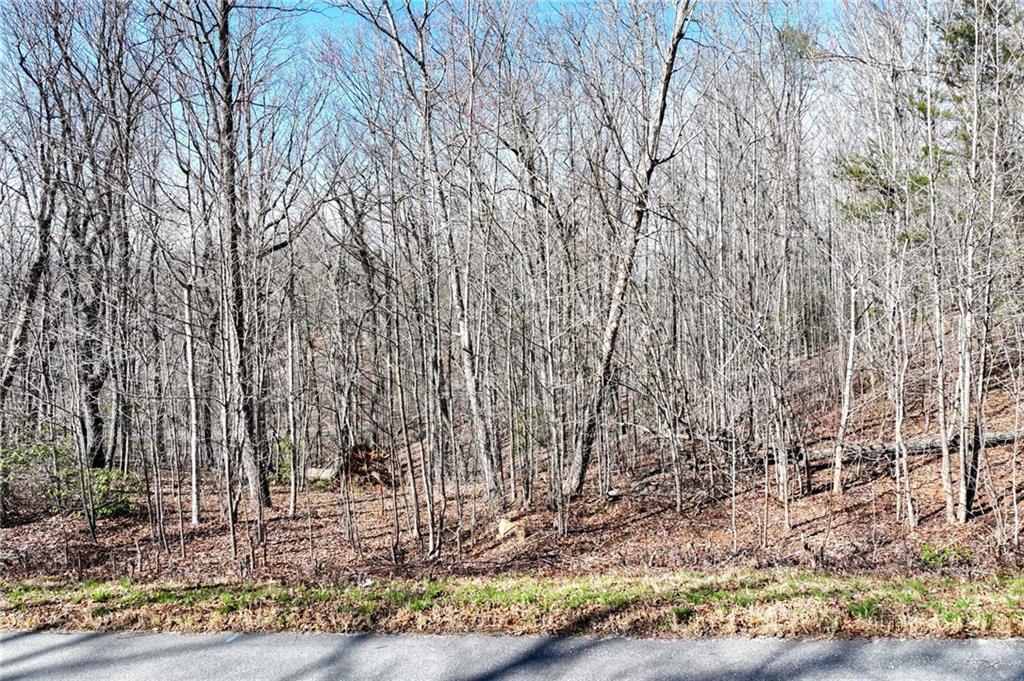 Lot 21 Long Mountain Trail Property Photo 13