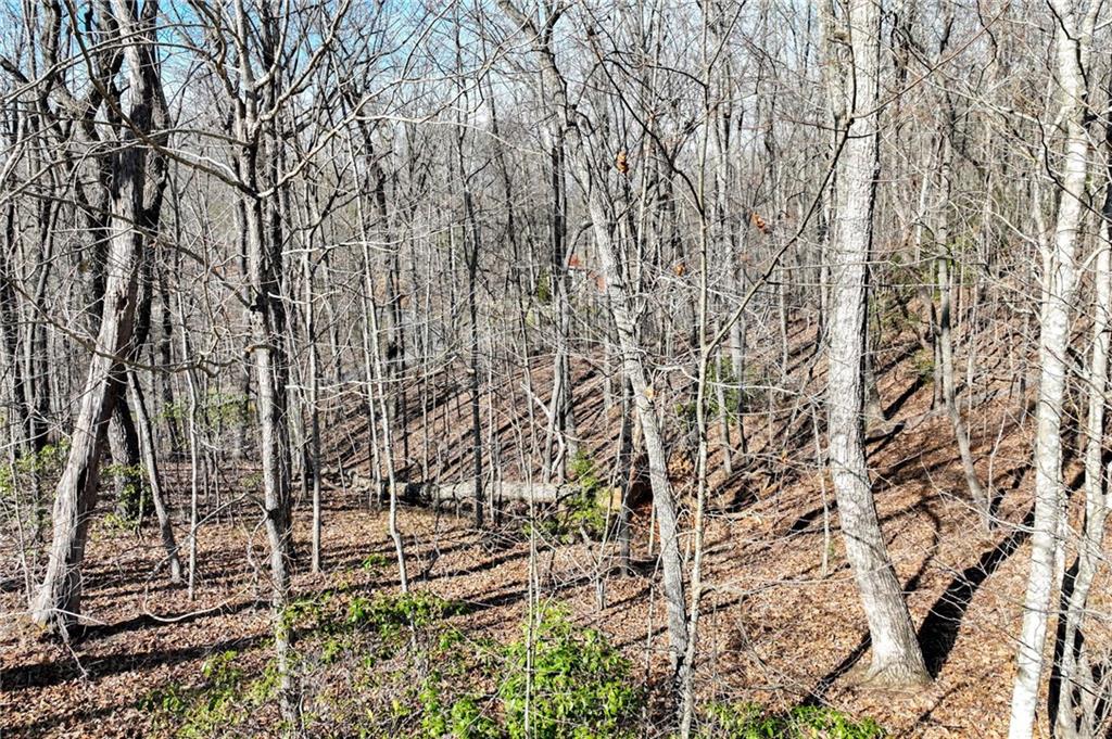 Lot 21 Long Mountain Trail Property Photo 14