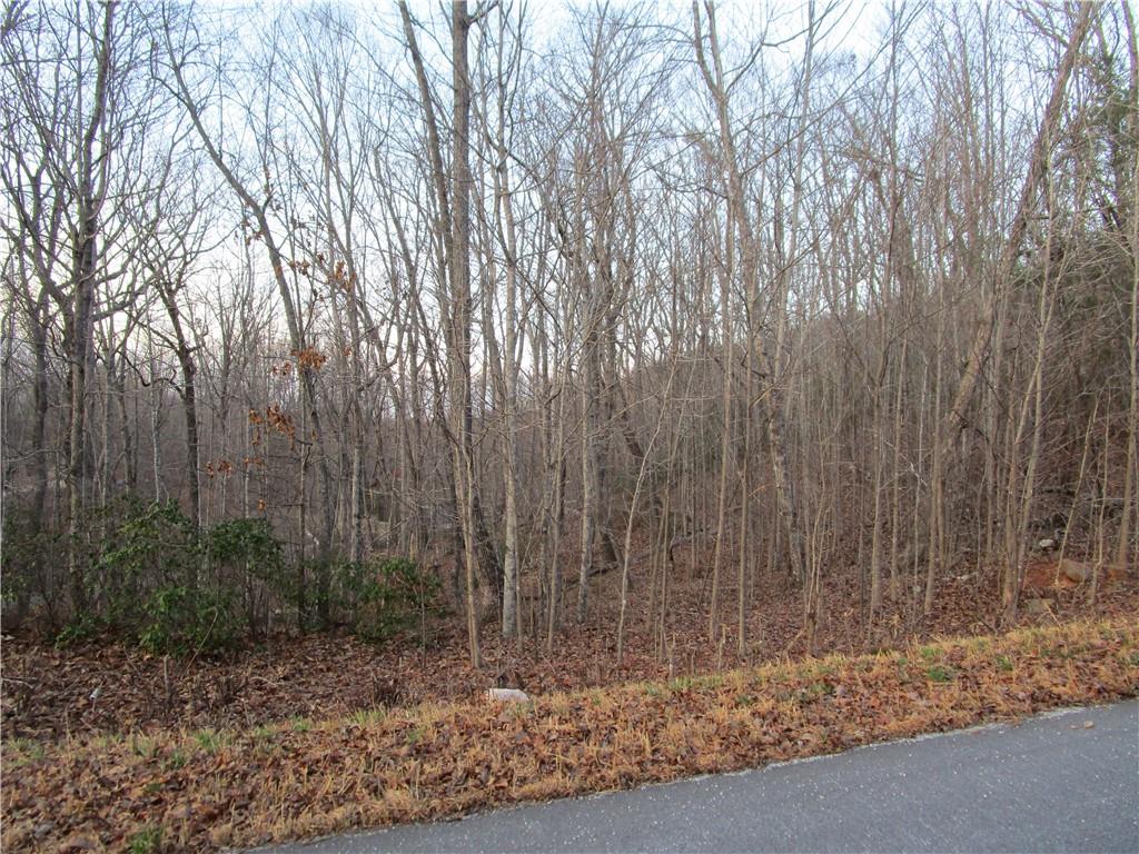Lot 21 Long Mountain Trail Property Photo 28