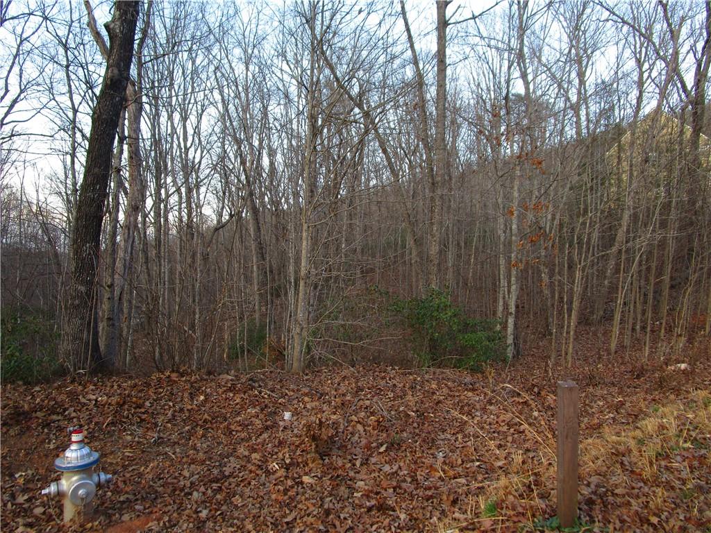 Lot 21 Long Mountain Trail Property Photo 29