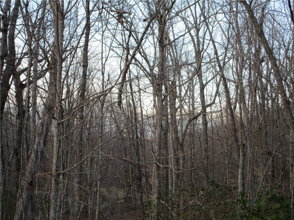 Lot 21 Long Mountain Trail Property Photo 30