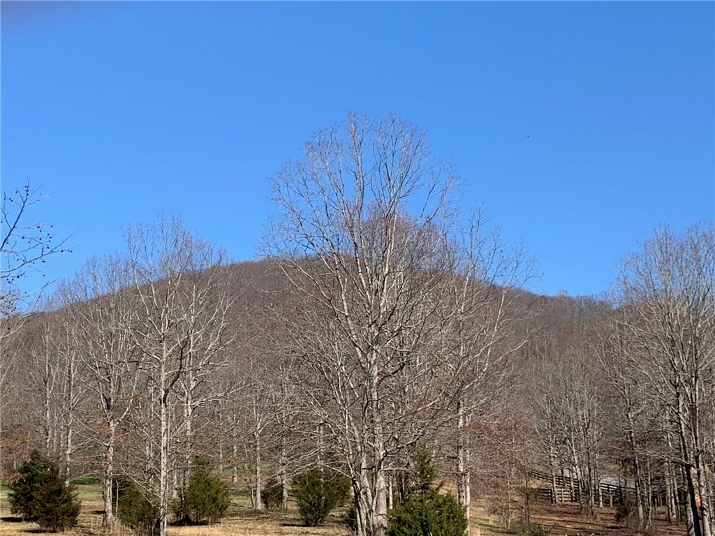 Lot 21 Long Mountain Trail Property Photo 31
