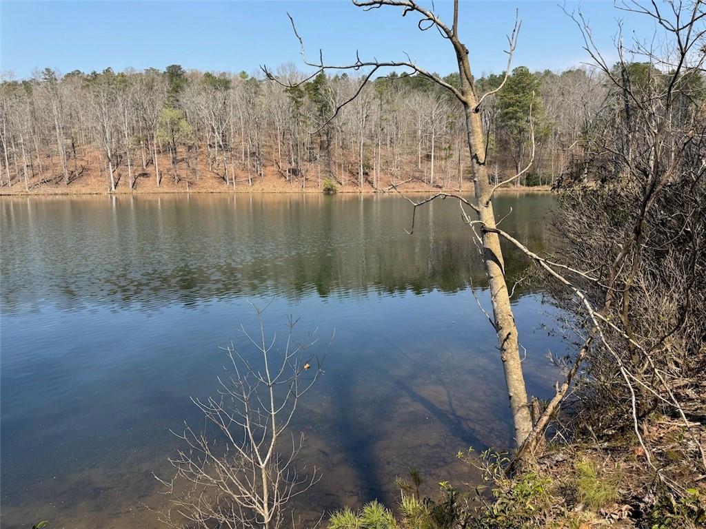 520 Loblolly Lane Property Photo 23