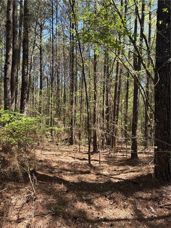 N/a Old Union Point Road Property Photo 2