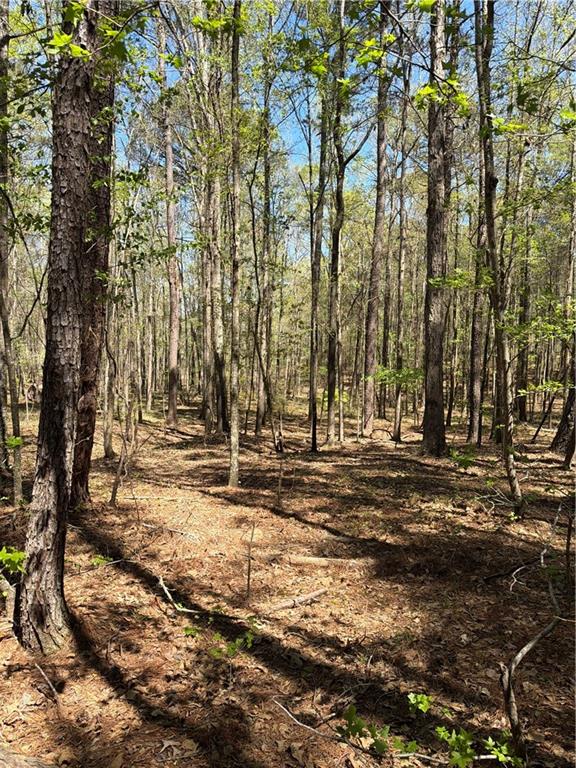 N/a Old Union Point Road Property Photo 5