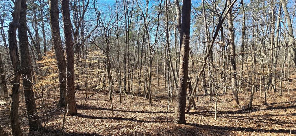00001 Friendship Trail