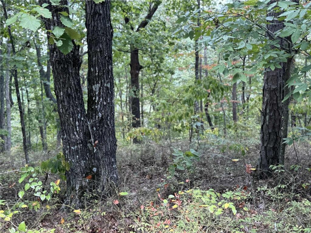 1417 Foxhound Trail Ne Property Photo 4
