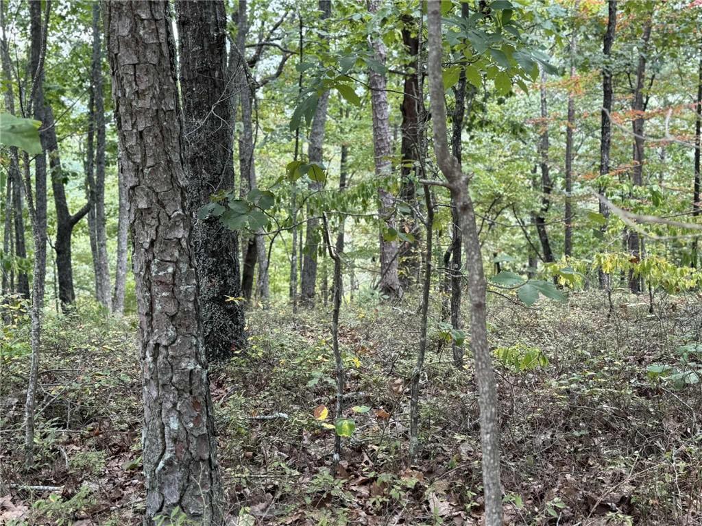 1417 Foxhound Trail Ne Property Photo 5