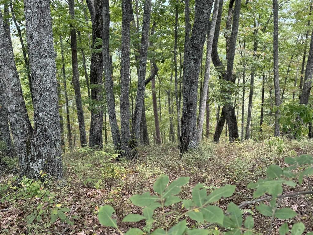 1417 Foxhound Trail Ne Property Photo 6