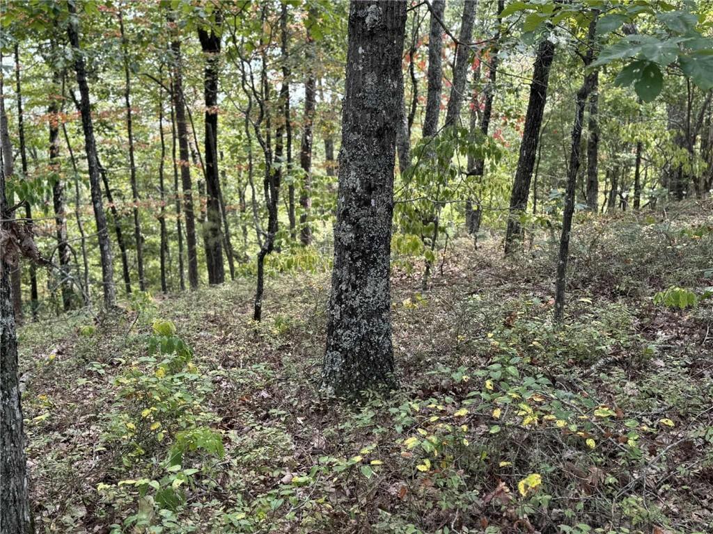 1417 Foxhound Trail Ne Property Photo 7