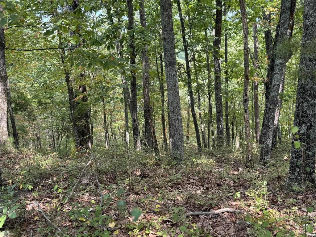 1417 Foxhound Trail Ne Property Photo 8