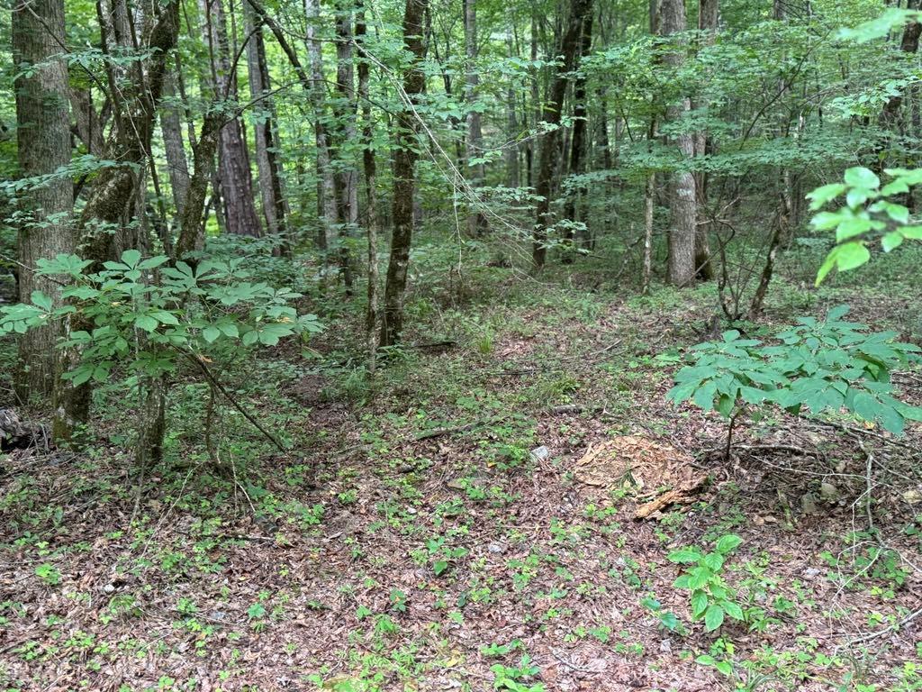 1634 Carman Way Property Photo 3