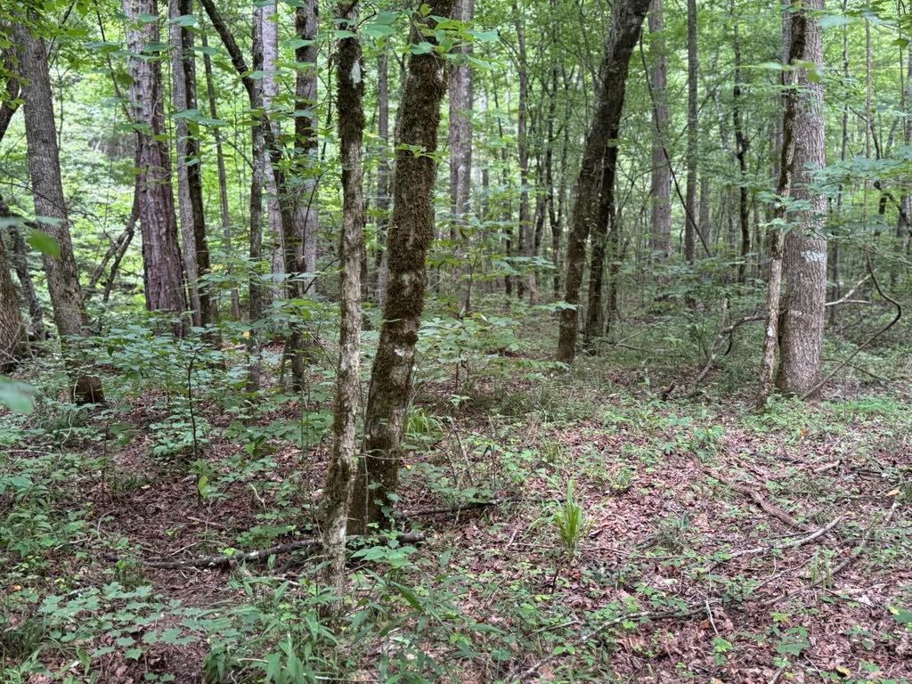 1634 Carman Way Property Photo 6