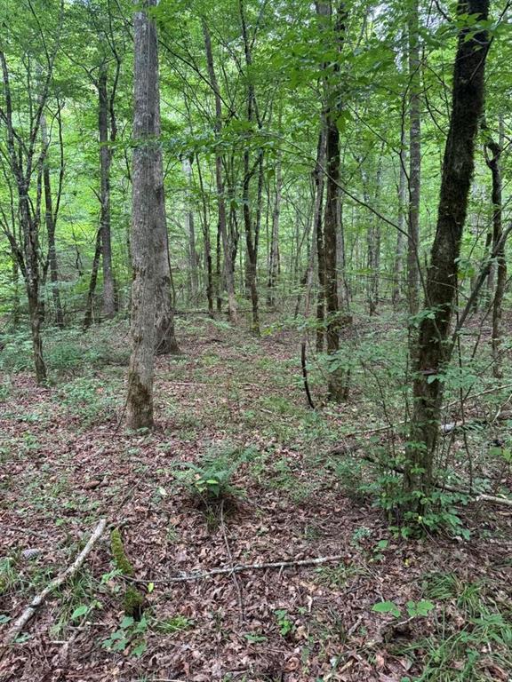 1634 Carman Way Property Photo 11