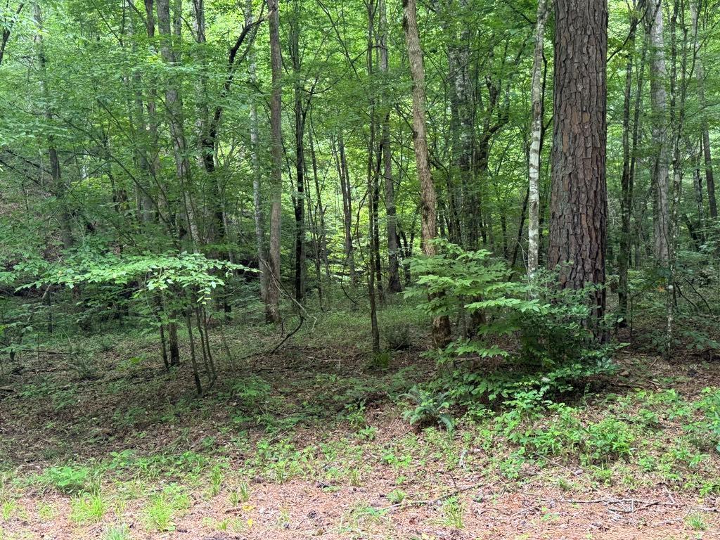1634 Carman Way Property Photo 13