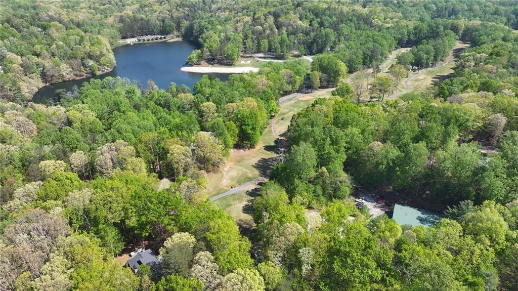 334 Lake View Trace Property Photo 63