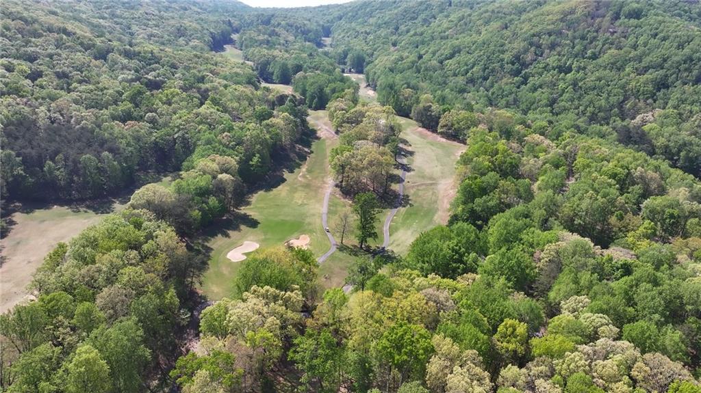 334 Lake View Trace Property Photo 70
