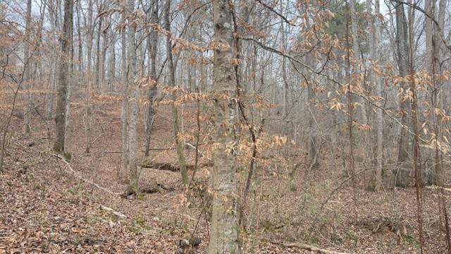00lot4 N Helton Road Property Photo 2