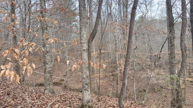 00lot4 N Helton Road Property Photo 3
