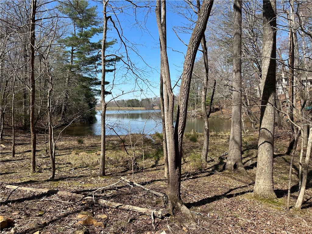 Lt2340 Tamarack Drive Property Photo 9