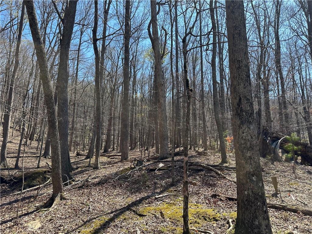 Lt2340 Tamarack Drive Property Photo 13