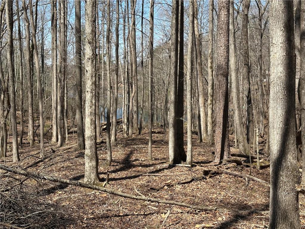 Lt2340 Tamarack Drive Property Photo 14