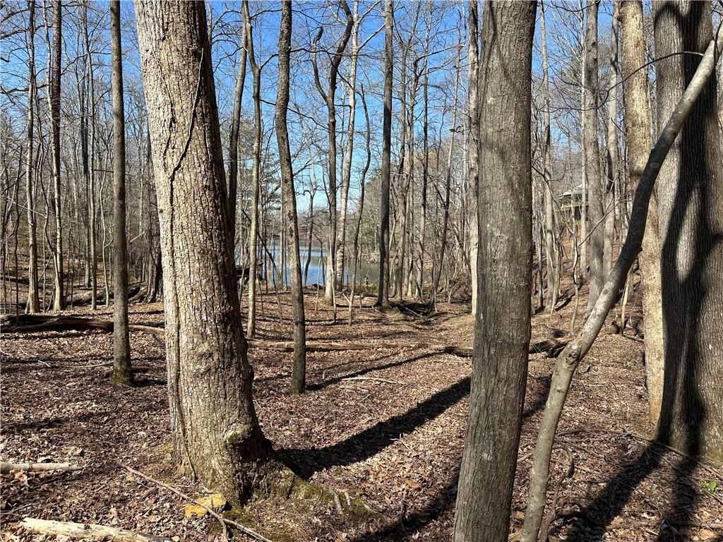 Lt2340 Tamarack Drive Property Photo 15