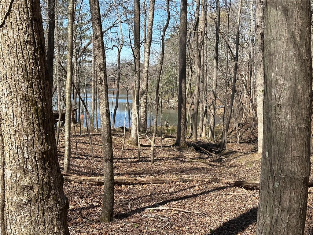 Lt2340 Tamarack Drive Property Photo 16