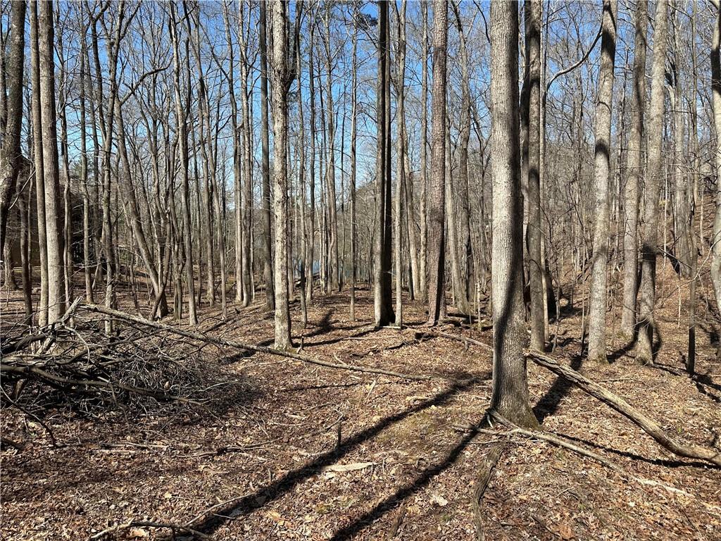 Lt2340 Tamarack Drive Property Photo 17