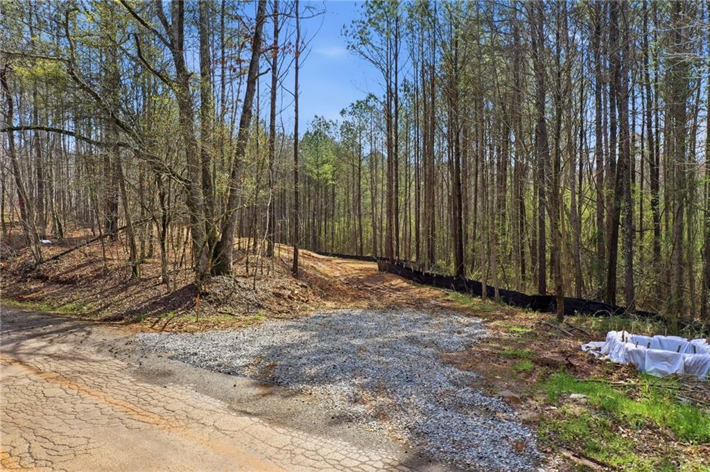 250 Sardis Circle Property Photo 2
