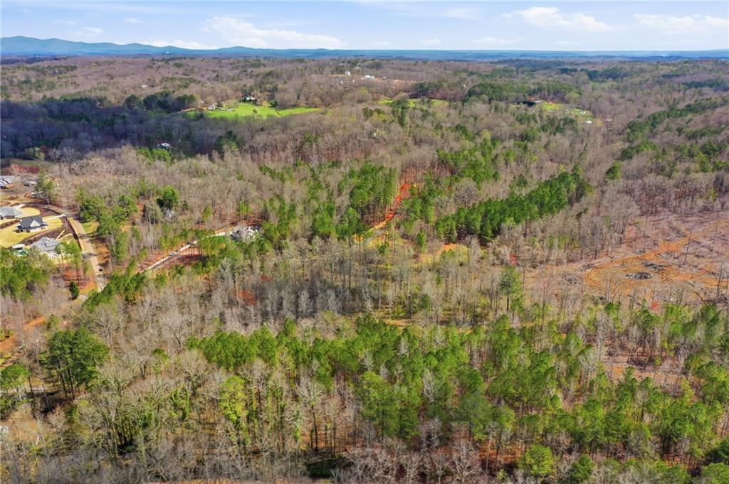250 Sardis Circle Property Photo 11