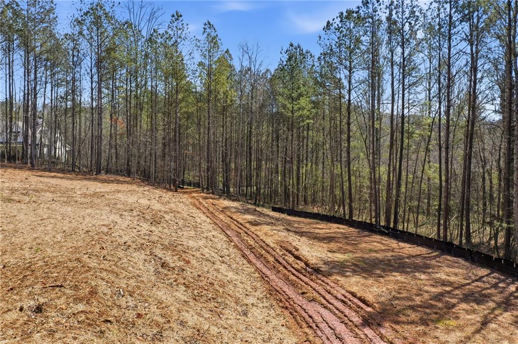 250 Sardis Circle Property Photo 18