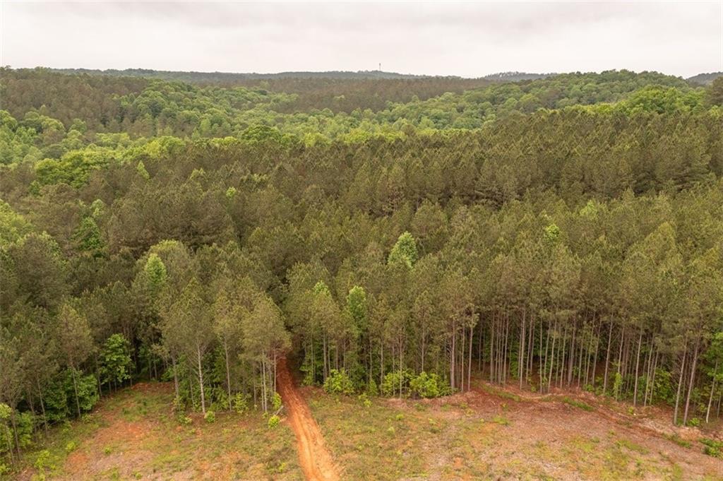 0 Hidden Creek Road Property Photo 1