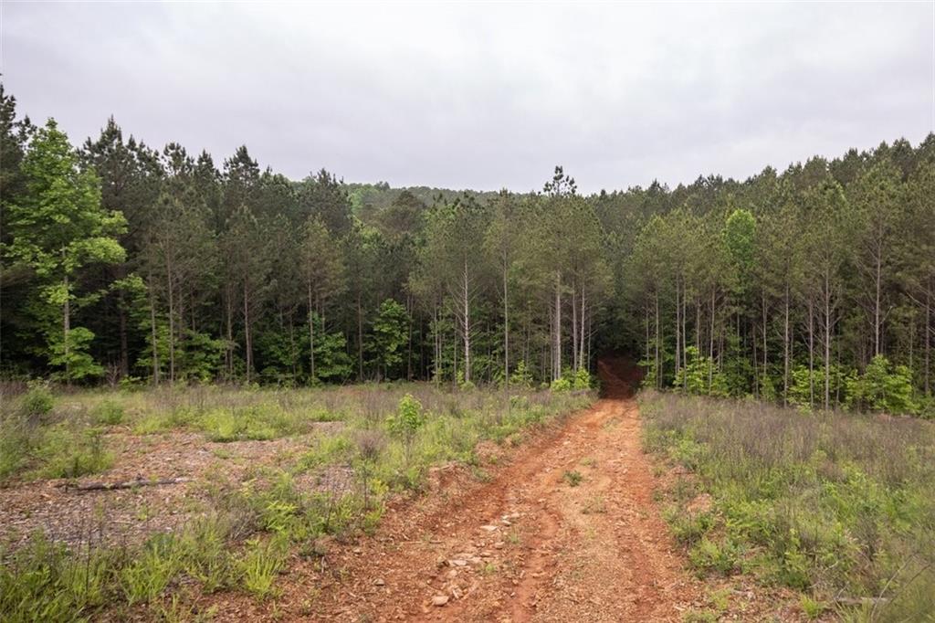 0 Hidden Creek Road Property Photo 2