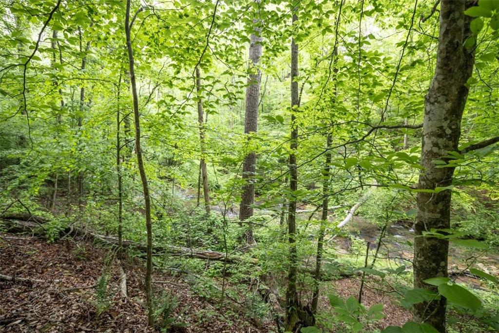 0 Hidden Creek Road Property Photo 4