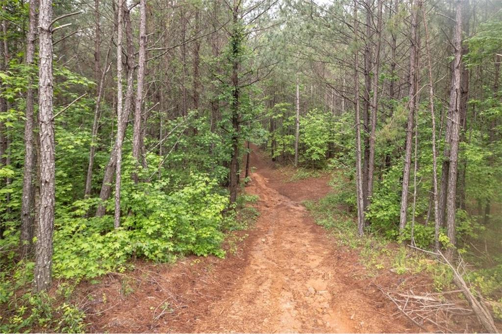 0 Hidden Creek Road Property Photo 6