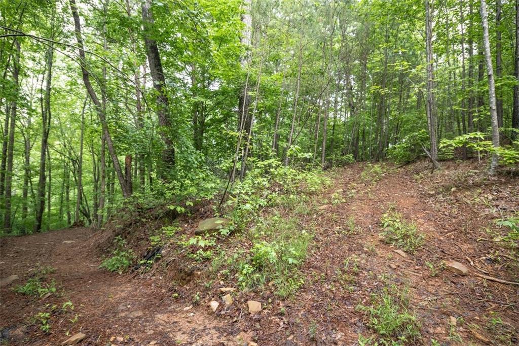 0 Hidden Creek Road Property Photo 7
